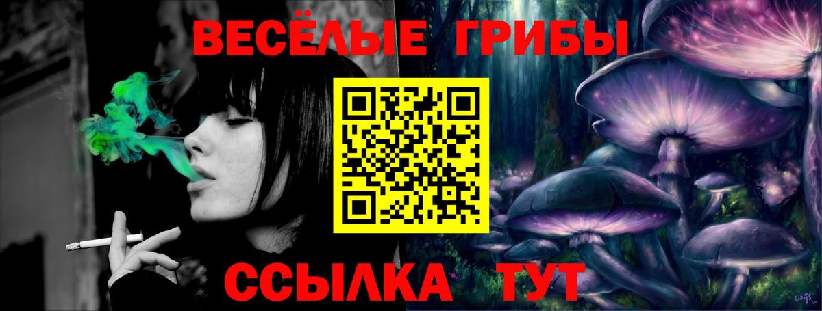 Псилоцибиновые грибы Cubensis  Вход с VPN  Галлюциногенные грибы ЛСД  Советская Гавань 