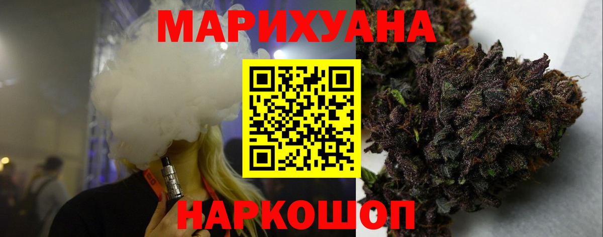 Конопля гибрид Советская Гавань
